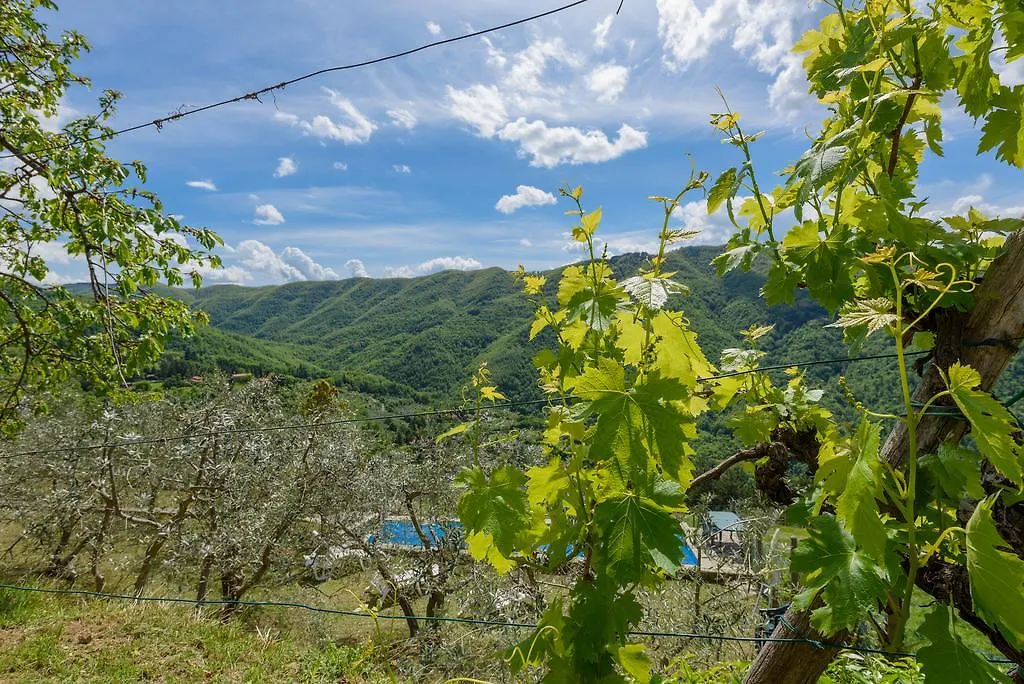Agriturismo Casapasserini Londa Italy